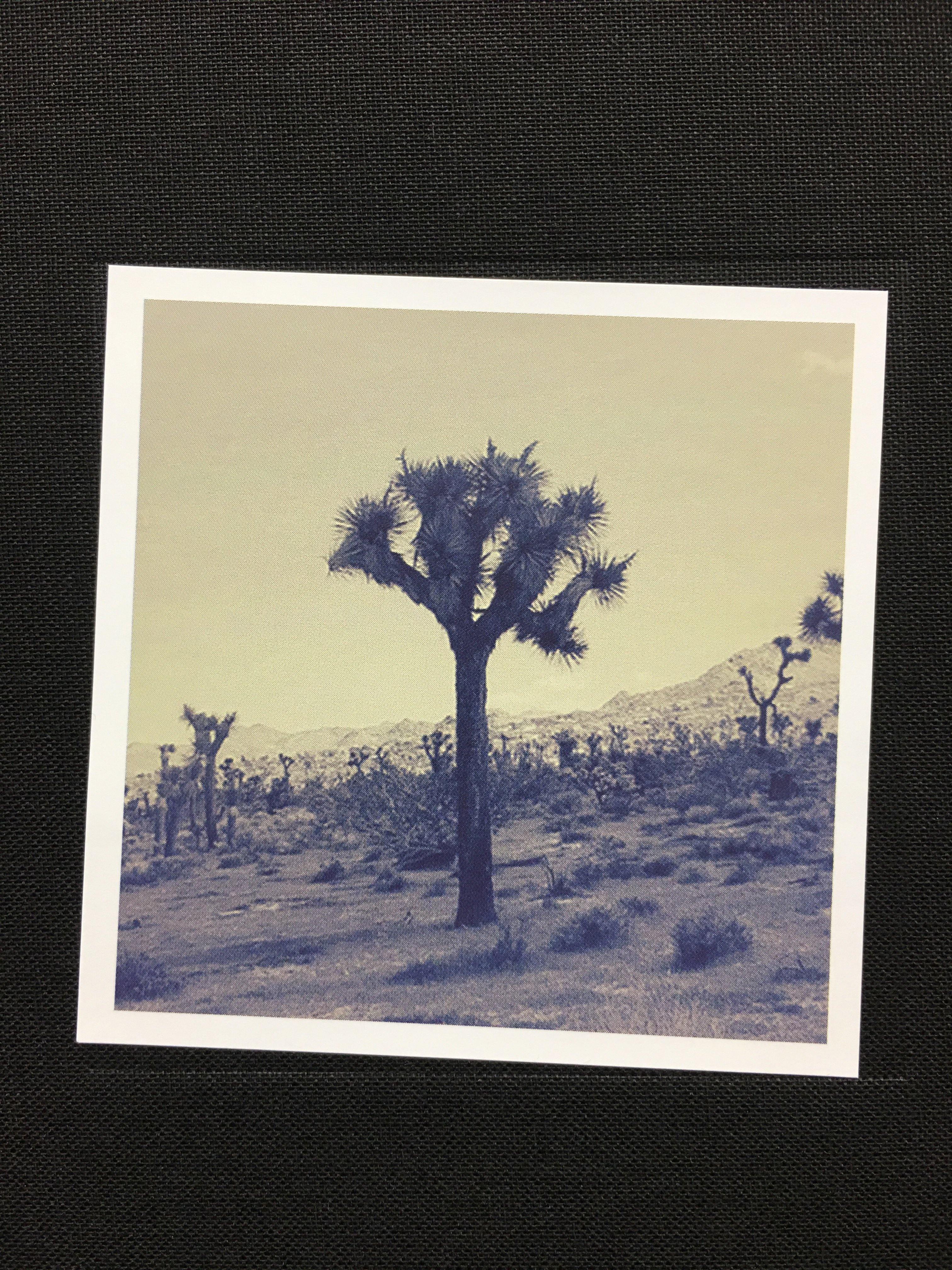 Orin Swift Cellars 8 Years in the Desert 2016 - 8 Bottle Set - Image 3